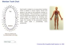 Meridian Tooth Chart Holistic Dental Hygiene Clinic