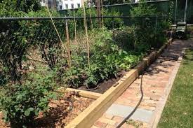 Raised Backyard Veggie Garden