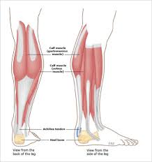 Some of the signs and symptoms of tendon tears are: Legs Achilles Tendinopathy Specialist Pain International Clinic Dr Nicholas Chua Phd