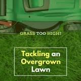 How do you restore an overgrown lawn?