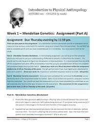 For further optional enrichment, watch this video: Mendelian Genetics Worksheet Answers