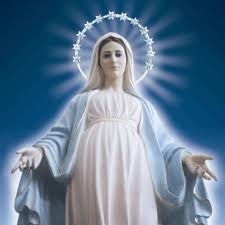 Image result for virgin mary images