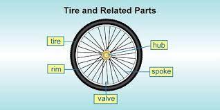 bicycle wheel parts spokes rimore