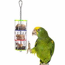 getuscart kintor parrot creative