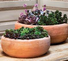 belize low bowl planter set of 2