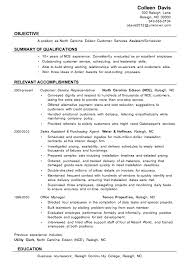 job objective customer service   thevictorianparlor co florais de bach info Customer Service Resume Lines Experience Example Professional Summary  Career Summary Customer Service Summary Resume Resume Sample    