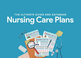 One person physical assist coding definitions* 3. Nursing Care Plan Ncp Ultimate Guide And Database Nurseslabs