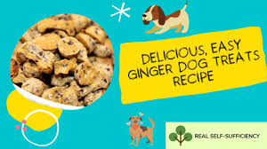 ginger dog treats recipe