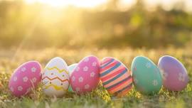 Easter Egg Hunt, Breakfast, and Activities