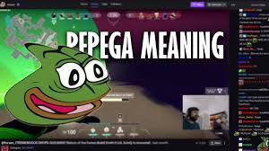 Assuming something is true and not making sure it is just to blame others for his own mistake pepega clap. What Does Pepega Mean Pepega Meaning Usage And History