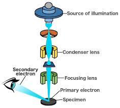 electron microscope how does an