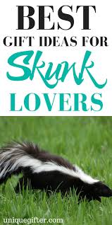 20 gift ideas for skunk unique