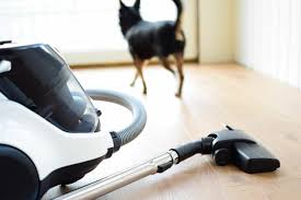 the 5 best vacuums for pet hair 2023