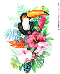 Watercolor Painting Of Toucan In