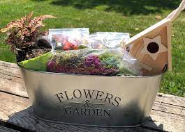Diy Fairy Garden Kit Fairy Garden Gifts
