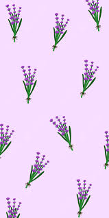 lavender bouquet aesthetic wallpaper