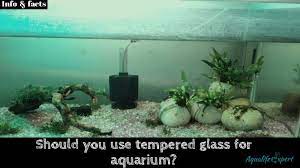 Use Tempered Glass For An Aquarium