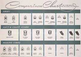 Wwii Poster Comparison Chart Us Army Navy Coast Guard Marine Corps Print Vintage Ebay