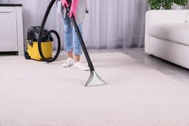 the best carpet cleaners to in 2021