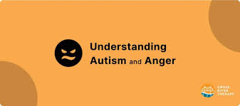 high functioning autism and anger