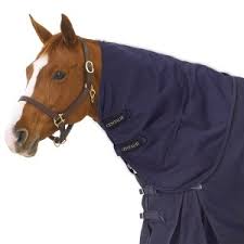 Horse Clothing Centaur