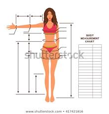 Woman Measurements Body Sada Margarethaydon Com