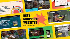 the 18 best nonprofit s our