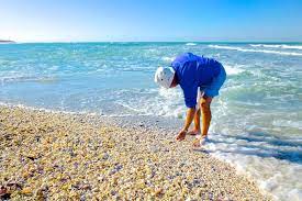 All live shelling is forbidden in the state of florida. Sanibel Island Shelling World S Best Shelling Beaches