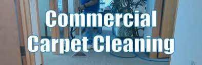 carpet cleaners west seattle white