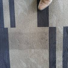top 10 best carpet cleaners in reno nv