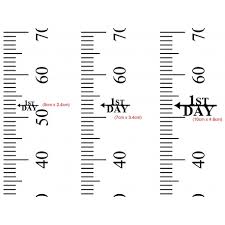 Height Markers First Day Growth Height Chart Ruler Add On Custom Decal Sticker Ozdeco T S Polonaiz
