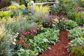 4 Easy Care Flower Bed Ideas