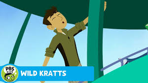 wild kratts catch the wild kratts all