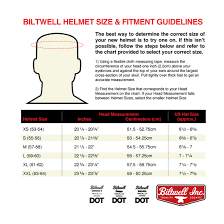 Biltwell Inc Lane Splitter Retro Style Full Face Motorcycle Helmet Flat Black