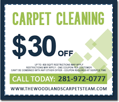 carpet cleaning the woodlands tx eco