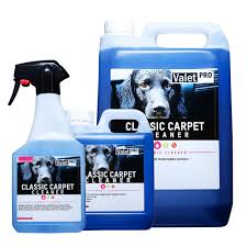 valetpro clic carpet cleaner