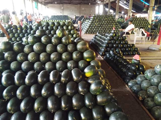 Myanmar watermelon loses China market in monsoon season