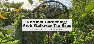 vertical gardening arch walkway