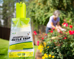 anese beetle outdoor insect trap in