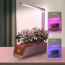 Indoor Herb Garden Kit With Grow Light