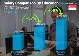 vb net developer average salary in