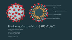 Polymerase chain reaction (pcr) tests check for the genetic material (rna) of the virus in the sample. A Guide To Covid 19 Tests For The Public