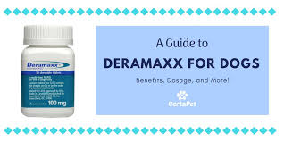 A Guide To Deramaxx For Dogs Benefits Dosage And More