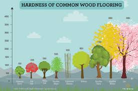 what hardwood floors are most durable