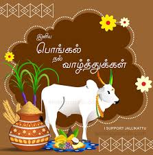 Image result for happy pongal in tamil language