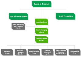 Organization Chart Asia Green Energy Public Company Limited