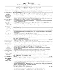 IT Manager Resume Example