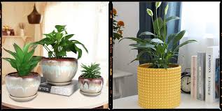 stylish indoor plant pots
