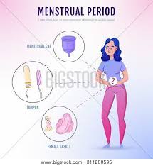 Change your tampon every 8 hours or sooner as needed. Feminine Menstrual Vector Photo Free Trial Bigstock