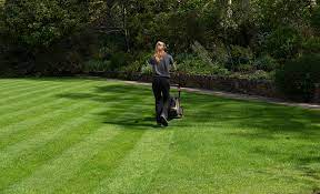 How To Stripe Your Lawn The Home Depot